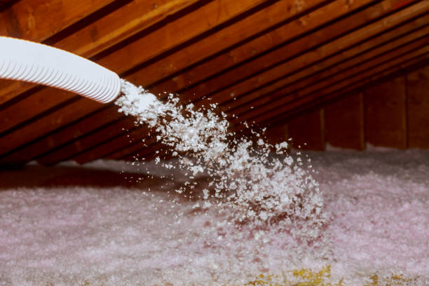 Professional Insulation Contractor in Rosenhayn, NJ