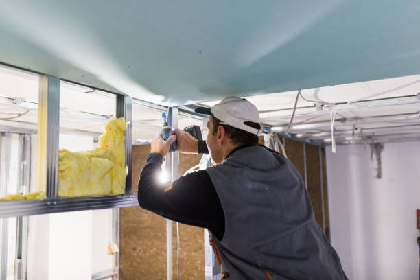 Best Blown-in Insulation in Rosenhayn, NJ