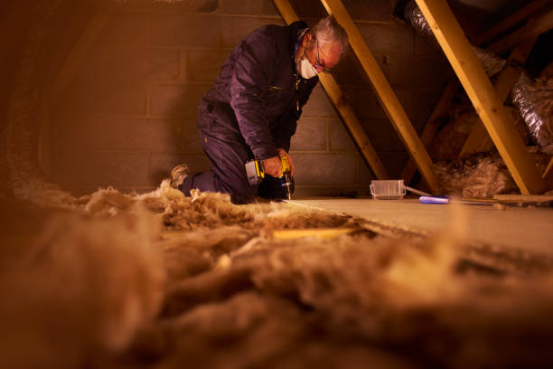 Best Spray Foam Insulation in Rosenhayn, NJ