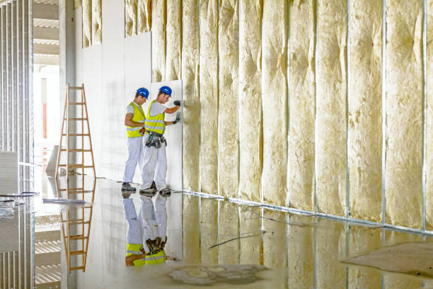 Best Residential Insulation in Rosenhayn, NJ